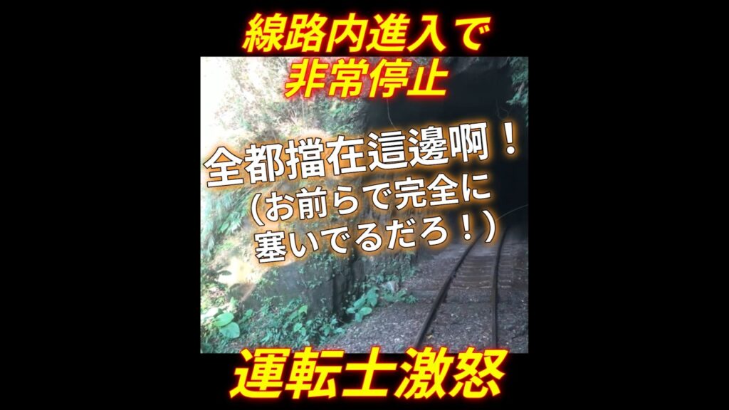 「いい加減にしろ！」無謀な立入りに運転士激怒。非常ブレーキが作動した緊迫の瞬間