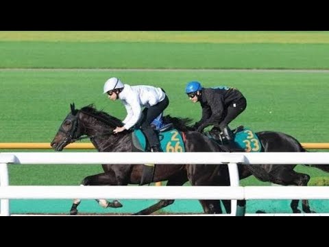 🏇🔥【函館5R新馬戦】エフフォーリア産駒アゴルディーノが衝撃デビューV！🐎💥 馬群を鮮やかに割って堂々の初勝利✨ 父譲りの勝負根性と末脚で未来のスター候補誕生か！🌟🏆🎉