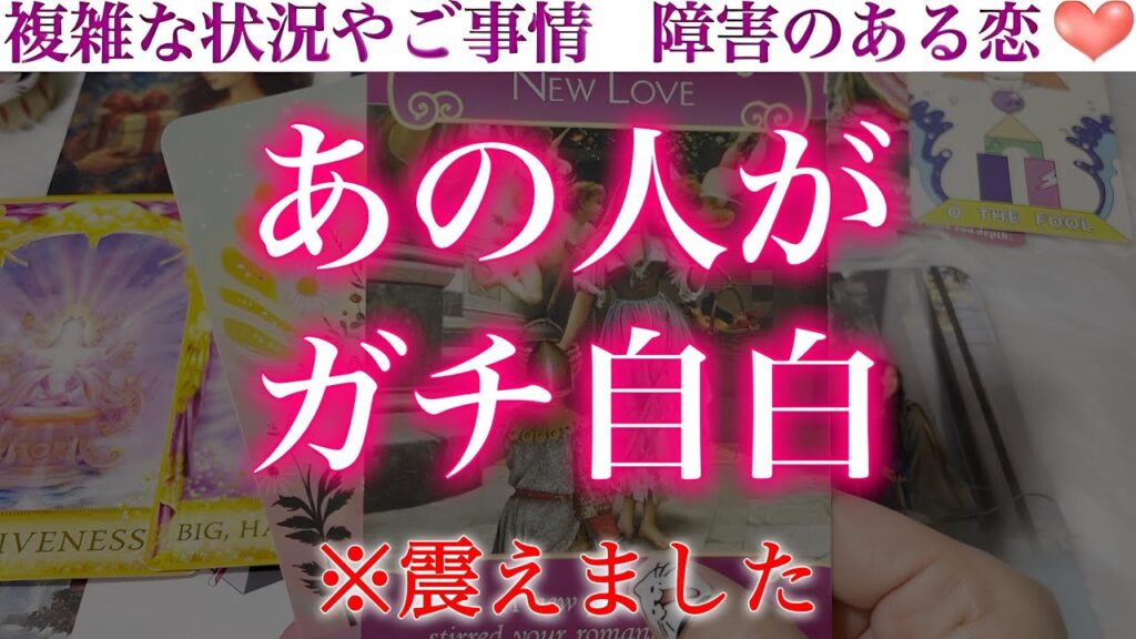 【衝撃発言】唖然。あの人がついに沈黙を破ります。 【衝撃発言】唖然。あの人がついに沈黙を破ります。