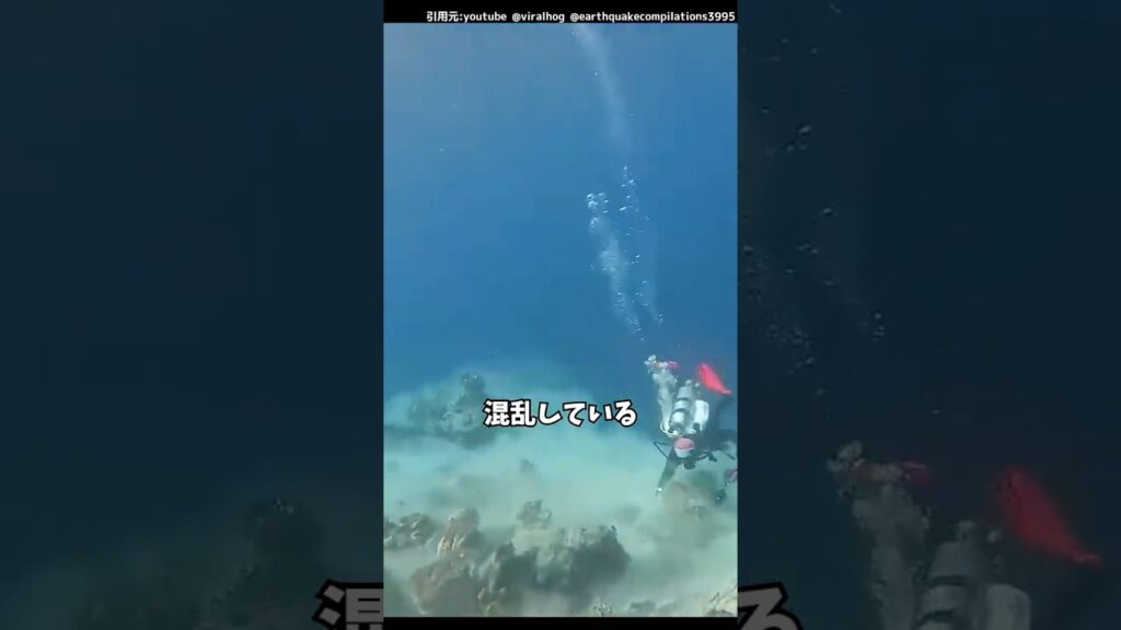 海底で地震が起こると・・・。#釣り#魚釣り#地震#津波#shorts