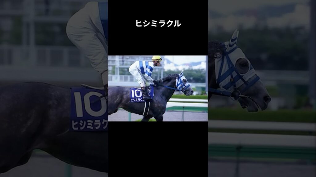 【奇跡の馬】ヒシミラクル　奇跡はロングスパートから#ヒシミラクル #角田晃一 #競馬 #shorts #宝塚記念 #菊花賞　#天皇賞 #ヒシミラクルおじさん　#ウマ娘 #四国めたん