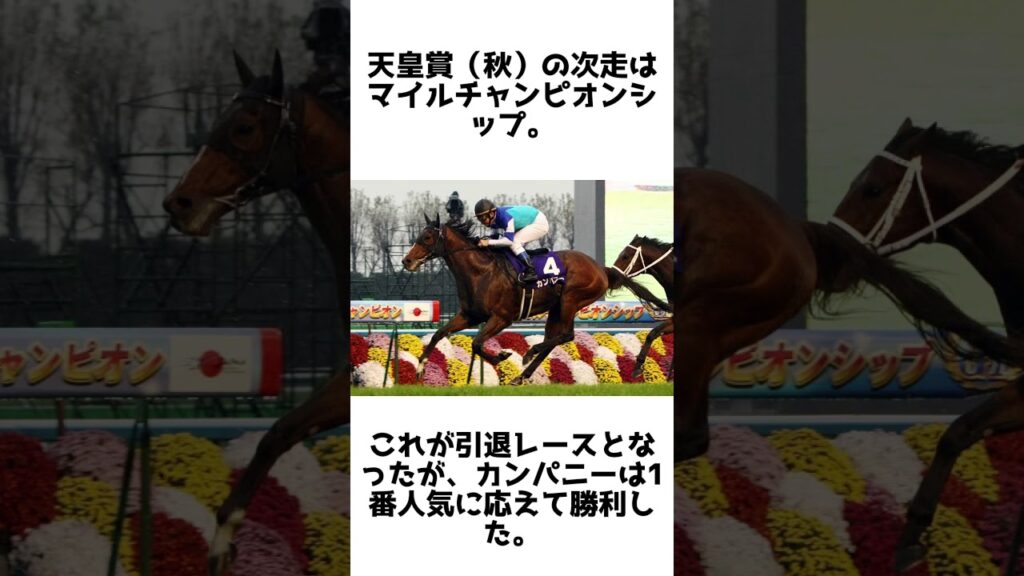 8歳で頂点に立った遅咲き王！カンパニーの雑学5選 #競馬 #shorts #1分雑学 #馬 #カンパニー