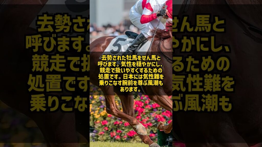 気性難で去勢された馬がダービーに出られない本当の理由 #Shorts