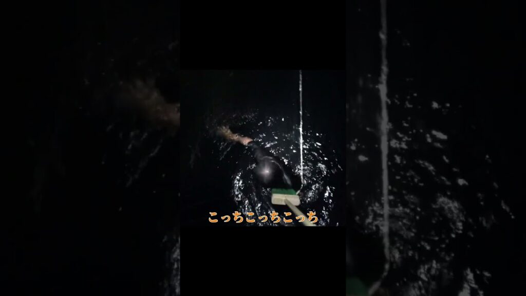 ​【放送事故】マジで死ぬかと思った夜の海