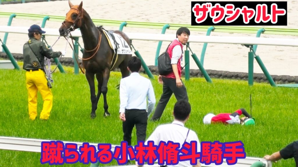 ザウシャルトに蹴られ担架で運ばれる小林脩斗騎手