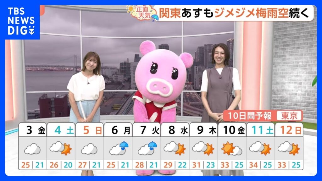 【7月3日 関東の天気】関東 今夜もシトシト雨残る…|TBS NEWS DIG 【7月3日 関東の天気】関東 今夜もシトシト雨残る…|TBS NEWS DIG