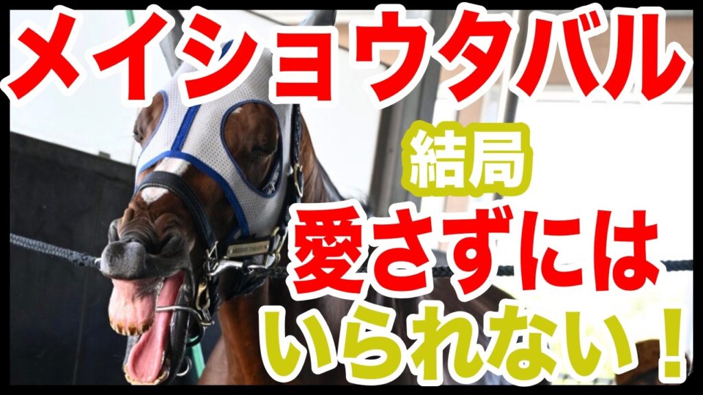 【メイショウタバル】〜アカン！愛させられてまう！！〜