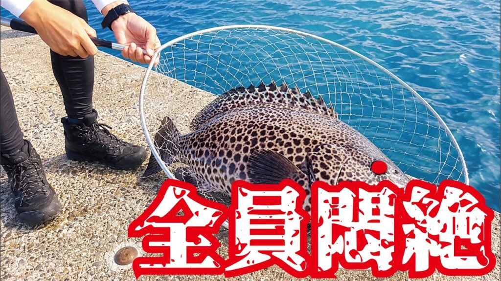 放送事故レベル！堤防の王者を仕留めたらとんでもない脂で全員悶絶
