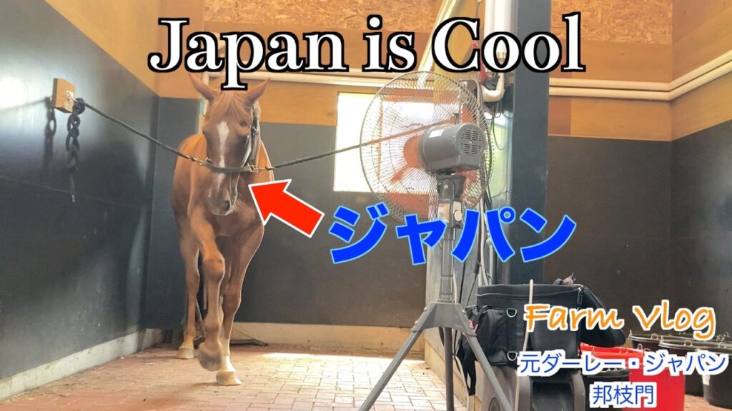 【アドマイヤジャパン】Japan is Cool ！？55選