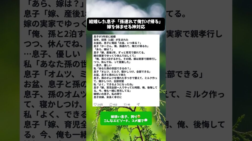 結婚した息子「孫連れて俺だけ帰る、嫁は実家でゆっくり」宣言→嫁想いの神対応に感動した話