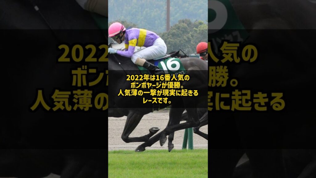 北九州記念は何番人気が勝つ? 過去5年で1番人気は1勝だけ 16番人気の激走もあった波乱データ #Shorts