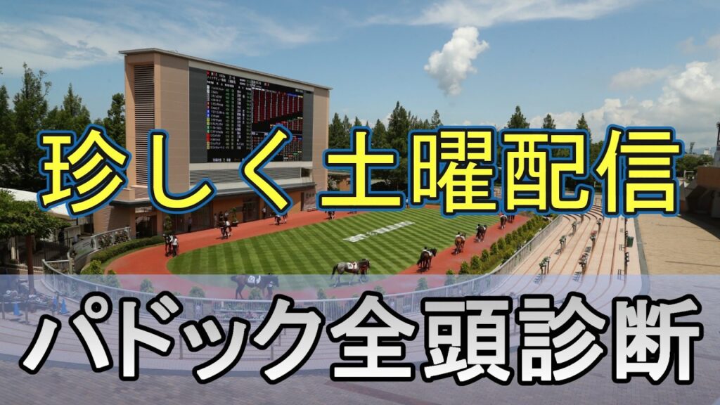 【JRAライブ】競馬記者が全レースのパドックを解説【函館 福島 小倉】 【JRAライブ】競馬記者が全レースのパドックを解説【函館 福島 小倉】