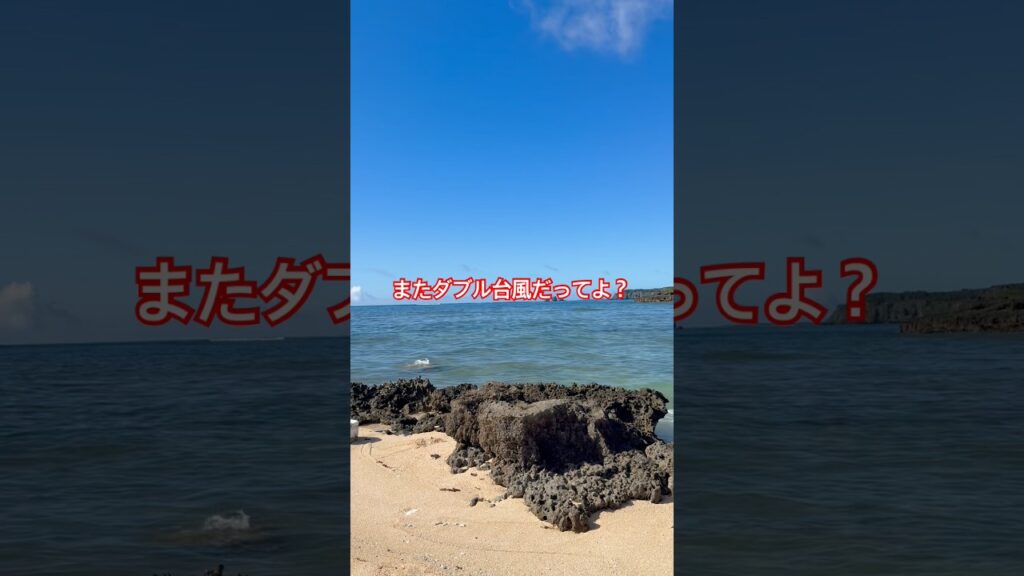 またダブル台風だって！#shorts #台風情報 #沖縄vlog #ファーム生活 #コールダック #散歩 #海のある暮らし #ニワトリ