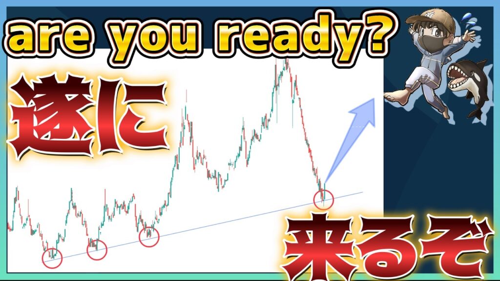 【準備ok?】遂に反転🚀半導体株が大きく下落!資金ローテーションが起きる!! #米国株 #インド株 #貴金属 #コモディティ 【準備ok?】遂に反転🚀半導体株が大きく下落!資金ローテーションが起きる!! #米国株 #インド株 #貴金属 #コモディティ