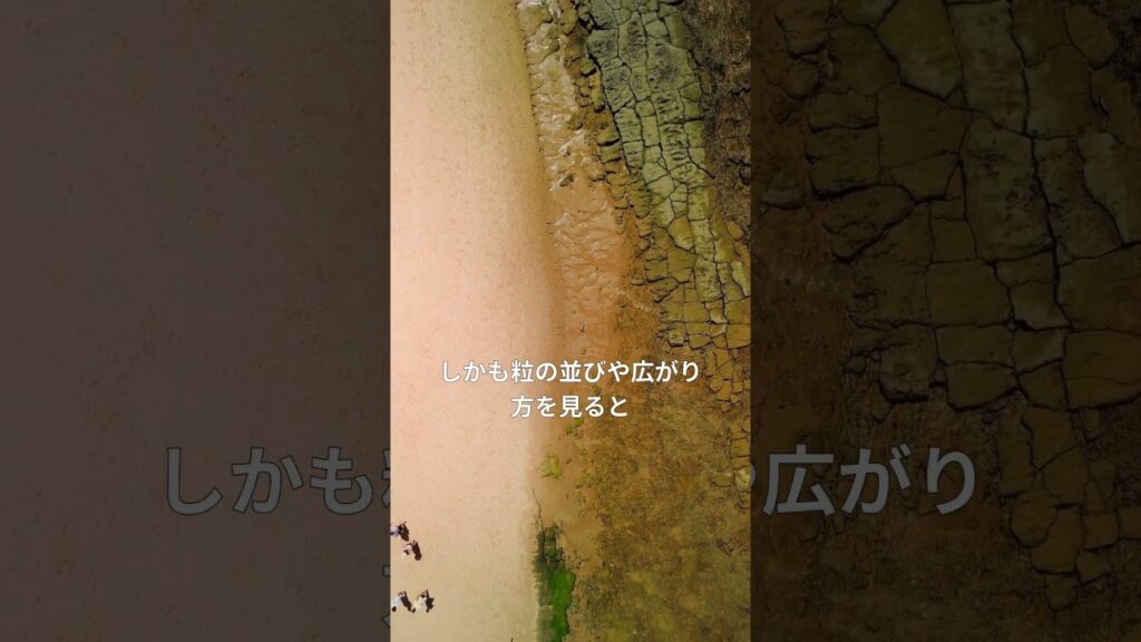 津波は地層に爪あとを残す｜津波堆積物