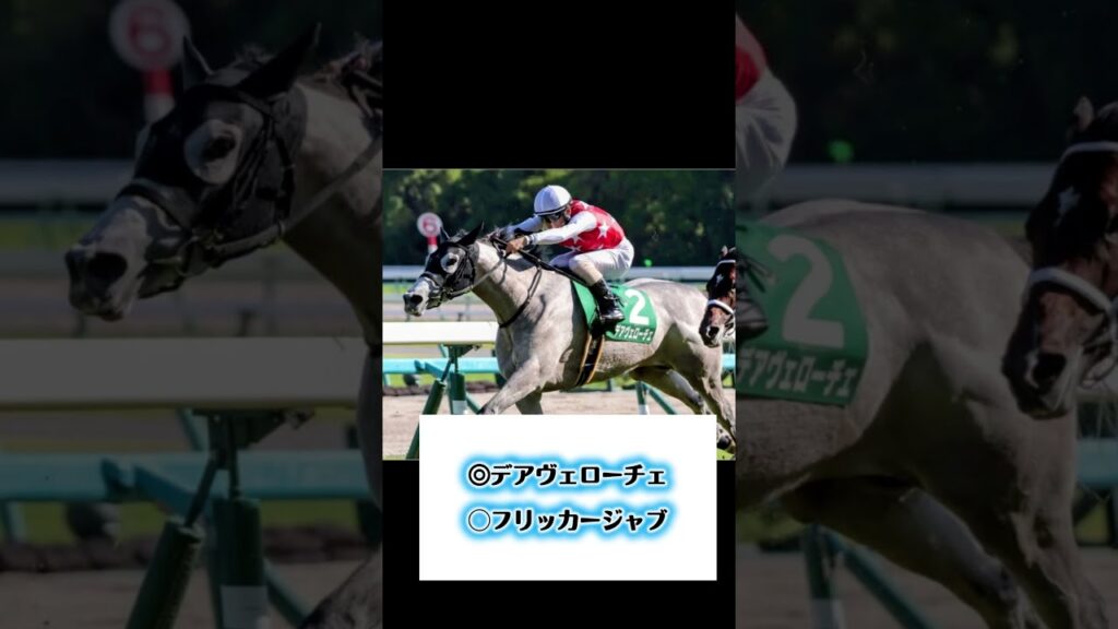 北九州記念 予想【競馬おばあ】 #競馬 #競馬予想 #武豊騎手 北九州記念 予想【競馬おばあ】 #競馬 #競馬予想 #武豊騎手