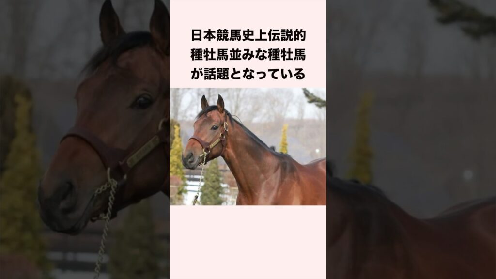 日本競馬史上伝説的種牡馬並みな種牡馬が話題となっている #競馬 #競馬予想 #shorts