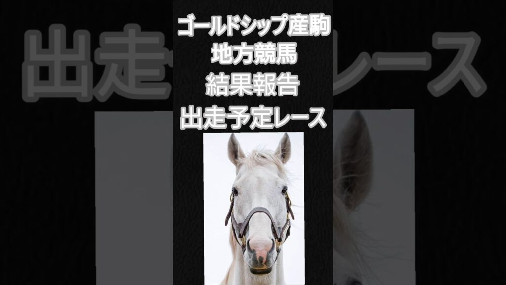 ゴルシ産駒地方競馬結果＆レース結果