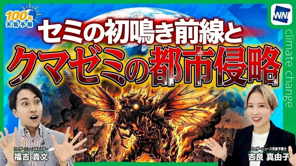 【気候変動番組】100年天気予報 ~セミの初鳴き前線崩壊とクマゼミ都市侵略~ 【気候変動番組】100年天気予報 ~セミの初鳴き前線崩壊とクマゼミ都市侵略~