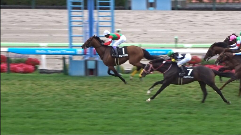 【5000勝へ王手目前】武豊騎手×キタサンブラックの弟アルマデオロが完勝！歴史的偉業までマジック2【2026年7月5日函館10R横津岳特別】