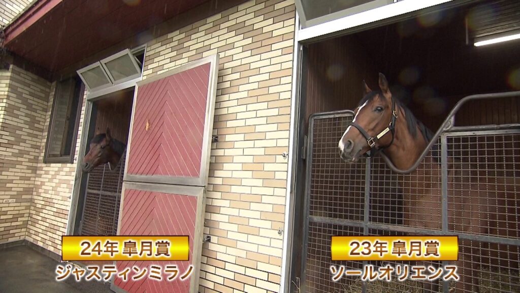 【ジャスティンミラノ＆ソールオリエンス】皐月賞馬２頭が登場！牧場見学のいろは！