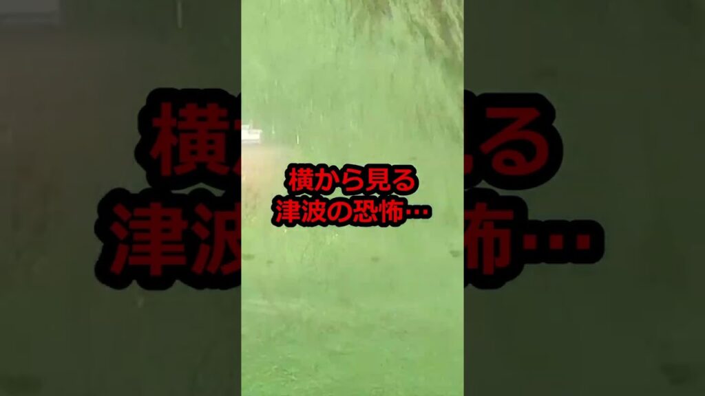 1mの津波の恐怖…国交省の研究所視察【港湾空港技術研究所】#津波 #南海トラフ地震 #津波対策 #国土交通省 #港湾空港技術研究所 #shorts