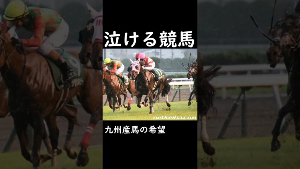 【泣ける競馬】九州産馬の希望【ゆっくり解説】#shorts #競馬 #北九州記念