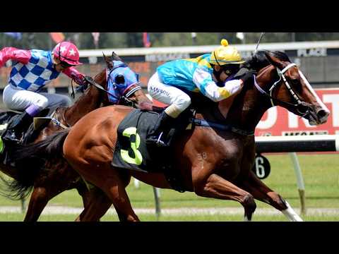 JAPANESE HORSE RACING LIVESTREAM 06 Jul 2026
