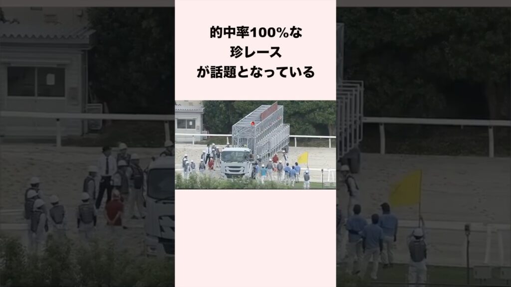 的中率100%な珍レースが話題となっている #競馬 #競馬予想 #shorts