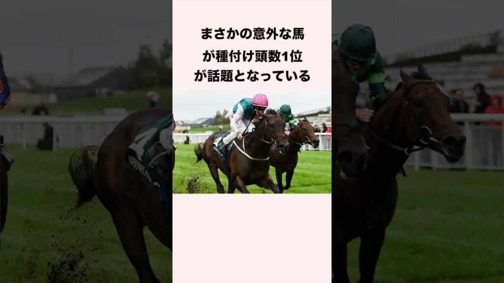 まさかの意外な馬が種付け頭数1位が話題となっている #競馬 #競馬予想 #shorts