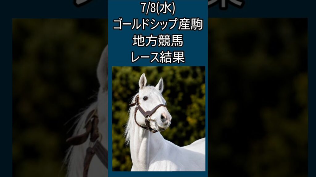 7/8(水)ゴルシ産駒地方レース結果