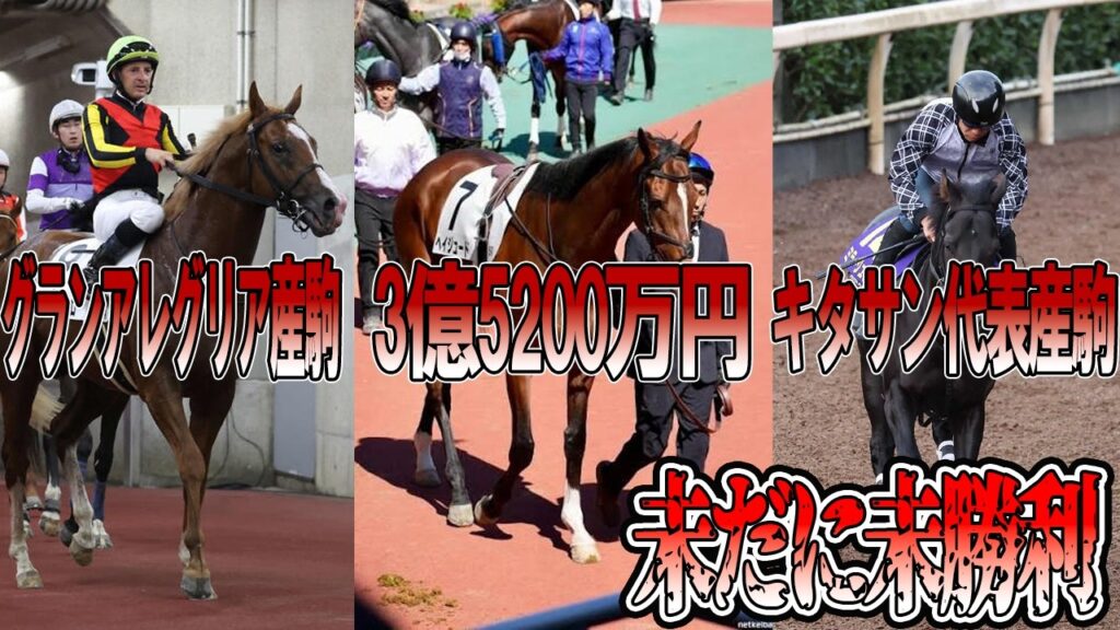【2026年ダービー候補】と呼ばれていた競走馬たちの結果がヤバいことに