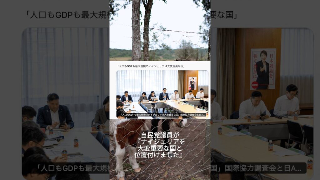 自民党にとってナイジェリアが【大変重要な国】#ニュース速報 #日本 #news