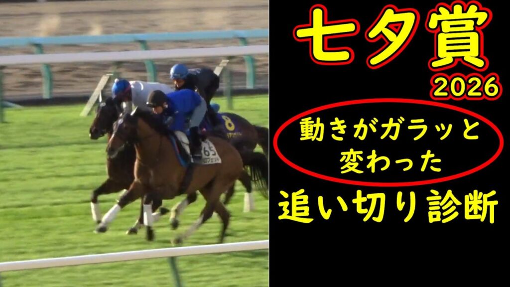 七夕賞2026追い切り診断｜評価はこの動きで変わる 全頭診断から景色を動かした22頭を徹底考察【GⅢ】