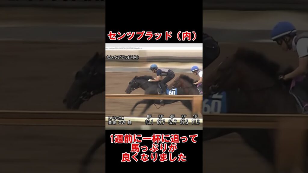 七夕賞　最終追い切り　全く当たらない競馬予想