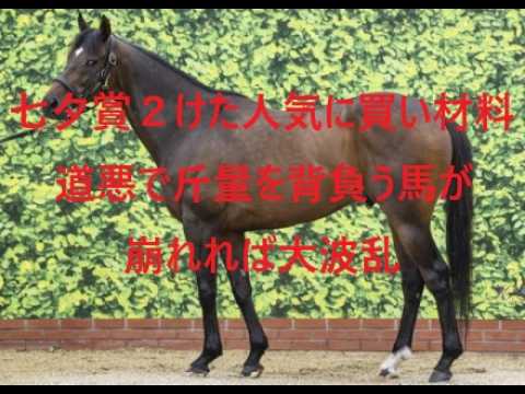 七夕賞　買い材料ある２けた人気を狙え！！道悪で斤量を背負う馬が崩れれば大波乱
