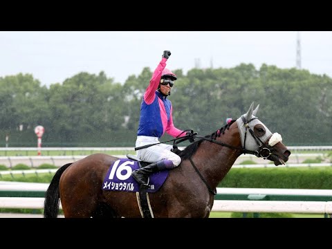 🏇レーティング123の頂上決戦！最強馬はメイショウタバルか、フォーエバーヤングか！🔥