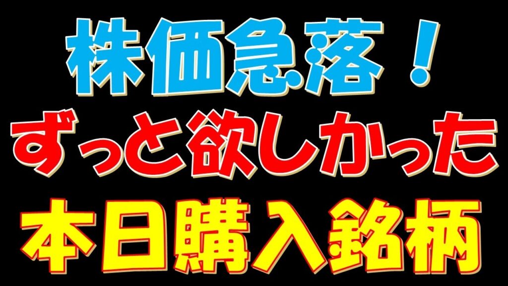 株価急落！ずっと欲しかった本日購入銘柄