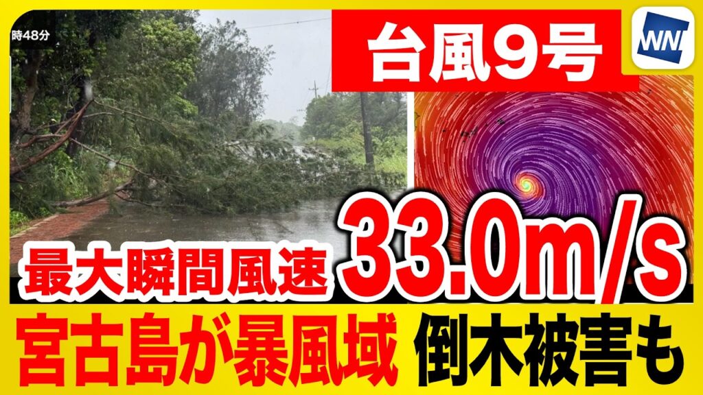 【台風9号 2026】沖縄・宮古島が暴風域に  停電や倒木被害も