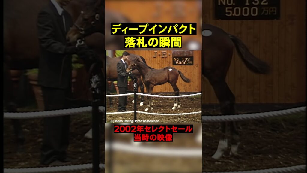 【セレクトセールの奇跡】ディープインパクトが競り落とされた瞬間 #競馬  #horse  #セレクトセール  #shorts #ディープインパクト