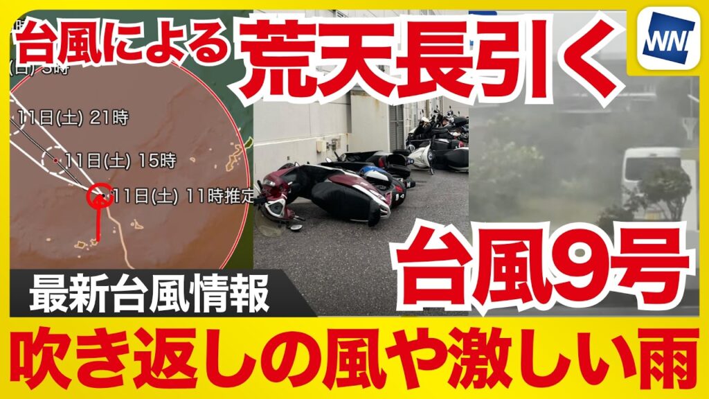 【台風9号 2026】台風による荒天長引く 吹き返しの風や激しい雨（7月11日11時配信）