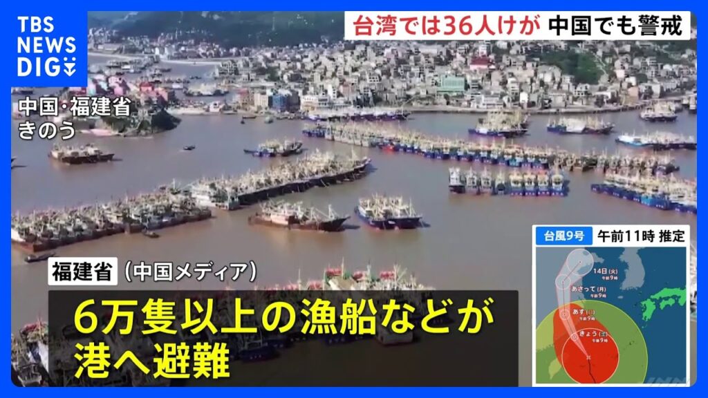 【台風9号情報】12日未明に中国上陸へ 福建省で漁船6万隻以上が港へ避難　一部暴風域の台湾では36人けが 頼清徳総統が防災対策徹底を指示し約9000人が避難｜TBS NEWS DIG