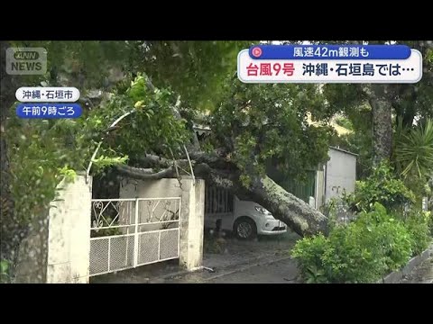 大型で強い台風9号 風速42m観測も　沖縄・石垣島では【スーパーJチャンネル】(2026年7月11日)