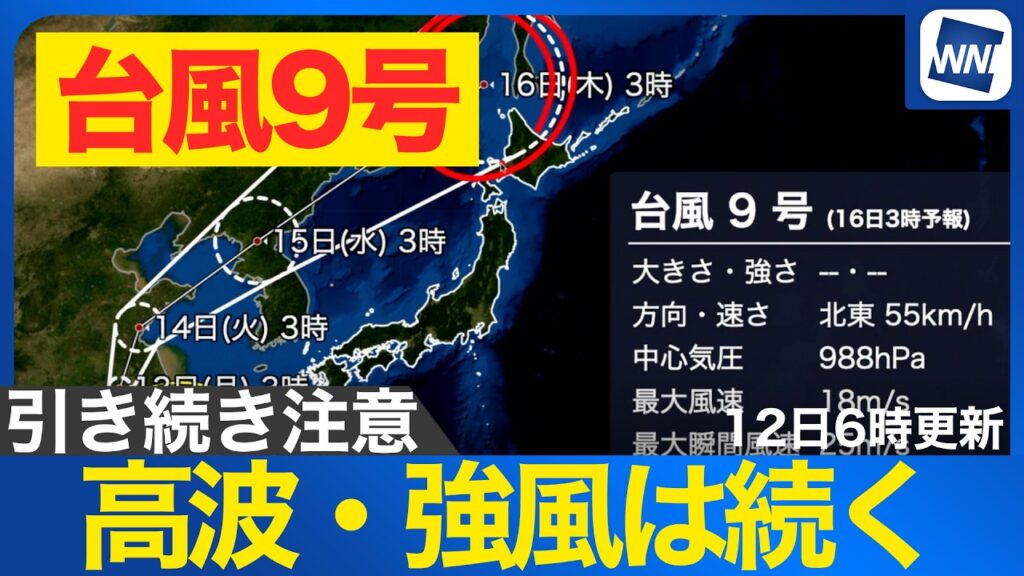 【台風9号 2026】沖縄は雨のピーク越えるも高波・強風は続く 北海道は週後半に大雨のおそれ（7月12日6時配信）
