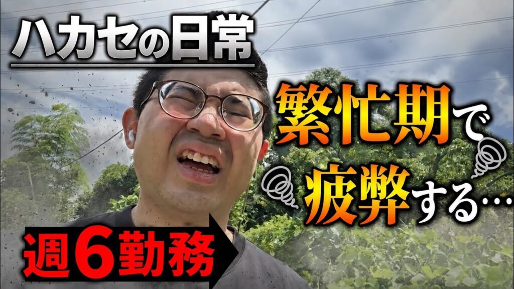 【日常】繁忙期で疲弊する30歳独身の日常