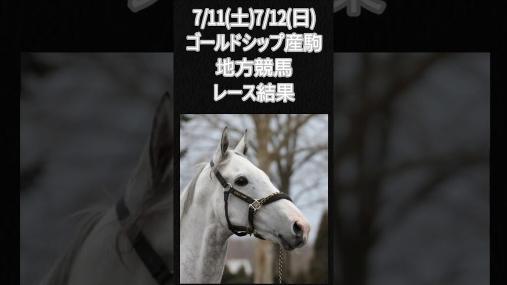 7/11･12ゴルシ産駒地方競馬レース結果