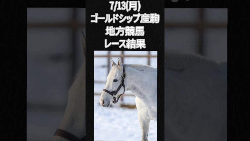 7/13(月)ゴルシ産駒地方競馬レース結果