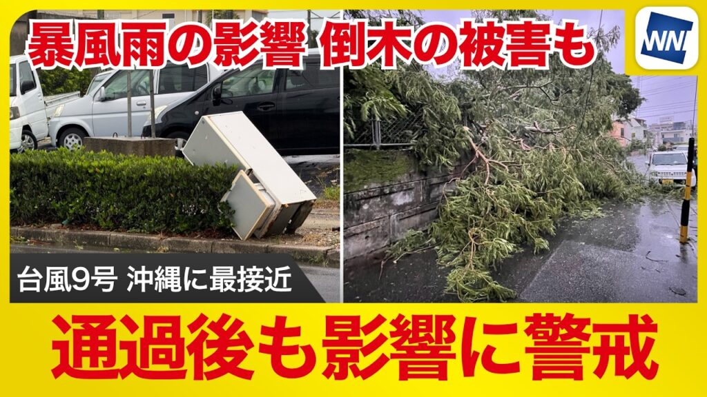 【台風9号 2026】 沖縄は暴風域に 台風の影響で倒木や停電発生