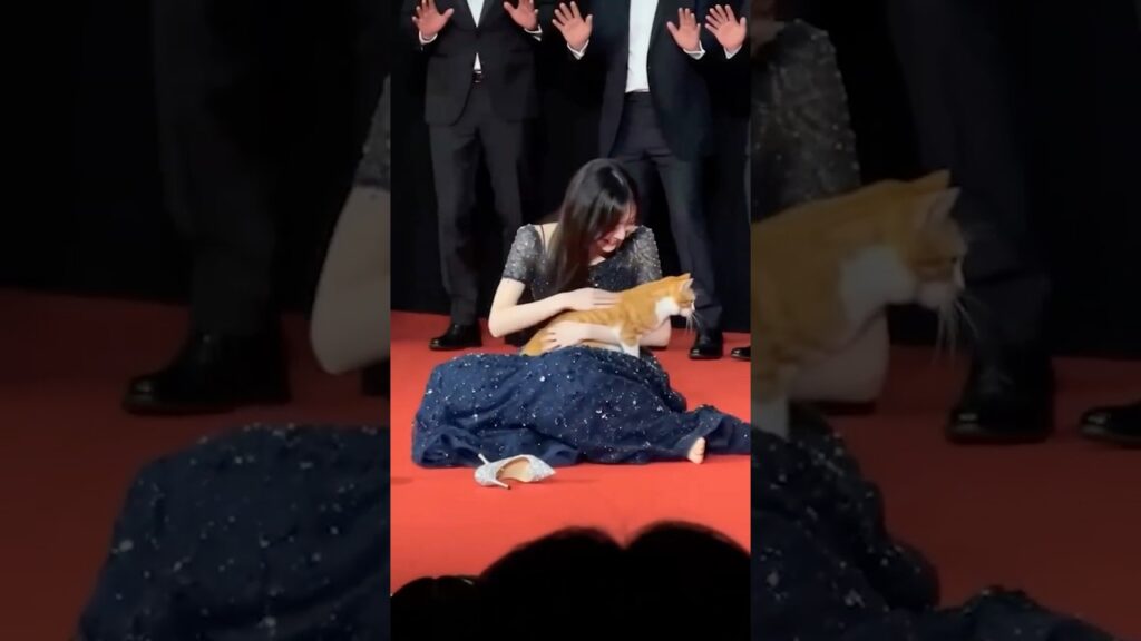 【放送事故】なぜそこに！？舞台挨拶中に猫が乱入して女優が神対応ｗ #shorts #ハプニング #放送事故