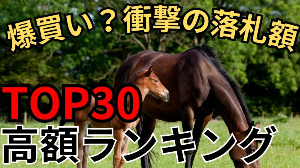 【セレクトセール2026】驚愕の落札価格ランキングTOP30!市場を席巻した超大物馬はどれだ!?武豊関連馬もレポ 【セレクトセール2026】驚愕の落札価格ランキングTOP30!市場を席巻した超大物馬はどれだ!?武豊関連馬もレポ